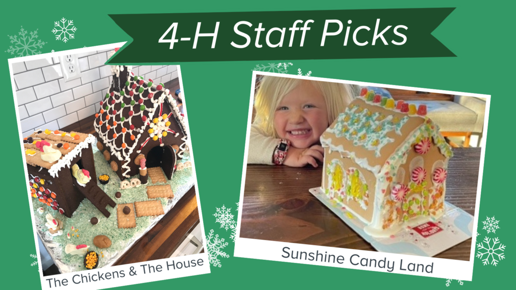 4-H Staff Picks: The Chickens & The House & Sunshine Candy Land