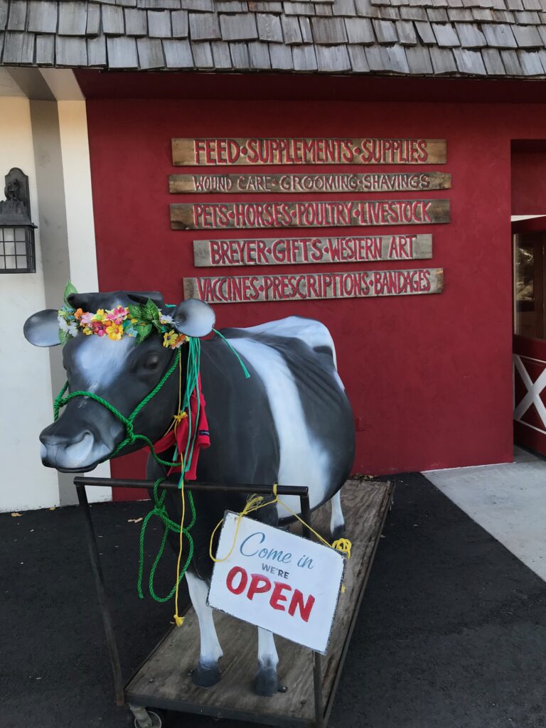 A life-size cow model sits in front a store with a sign that says, "Come in We're Open." Behind on the wall text reads, "Feed, supplements, supplies, wound care, grooming, shavings, pets, horses, poultry, livestock, breyer, gifts, western art, vaccines, prescriptions, bandages. 